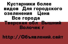 Кустарники более 100 видов. Для городского озеленения › Цена ­ 70 - Все города  »    . Тверская обл.,Вышний Волочек г.